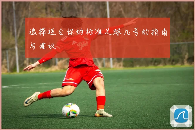 选择适合你的标准足球几号的指南与建议