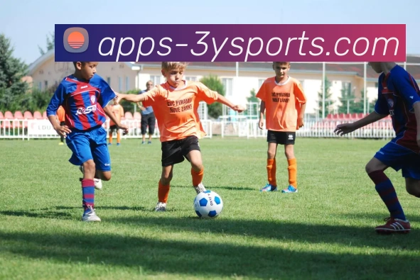 三亿体育官方网站APP 封面图